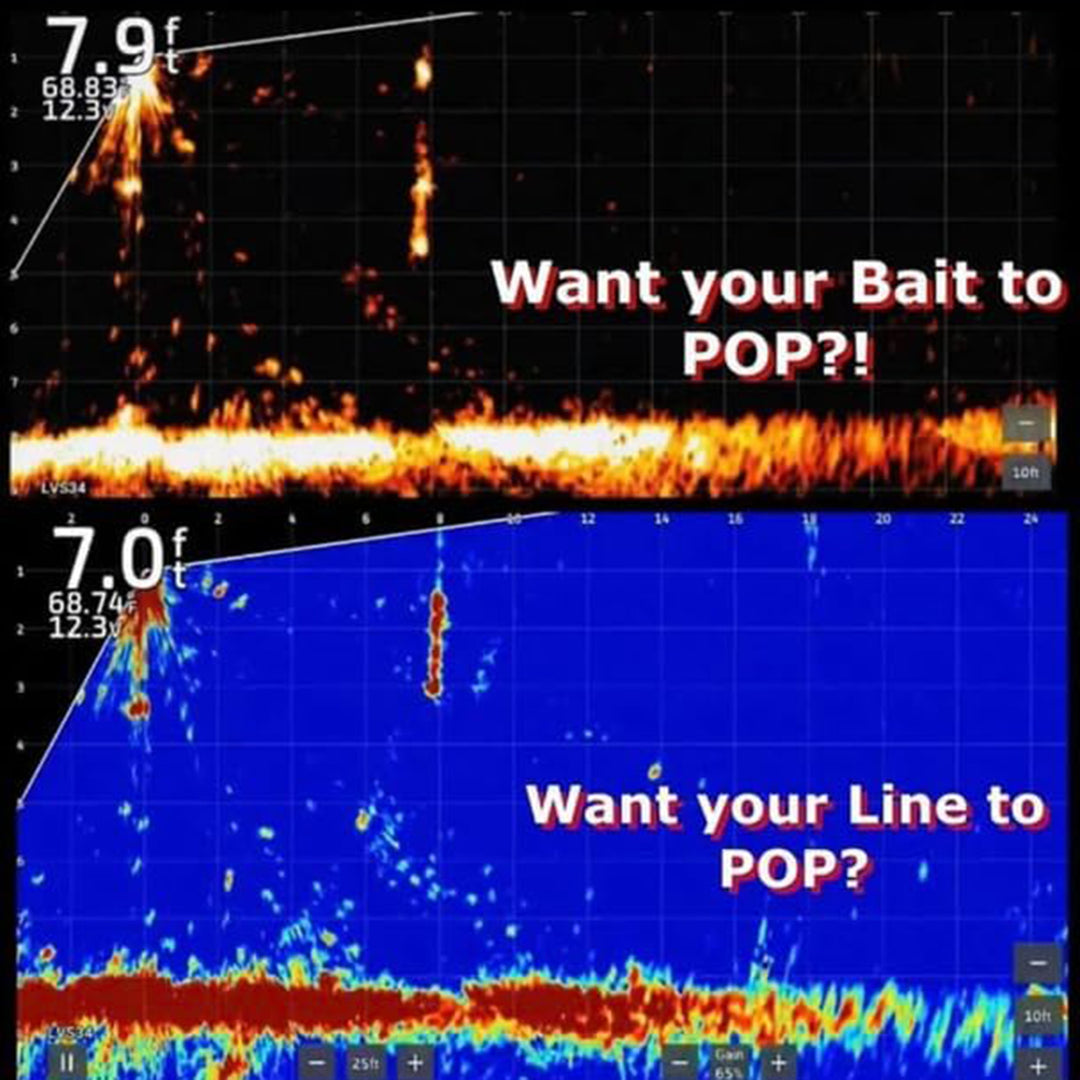 BaitPop Elite Gamefish