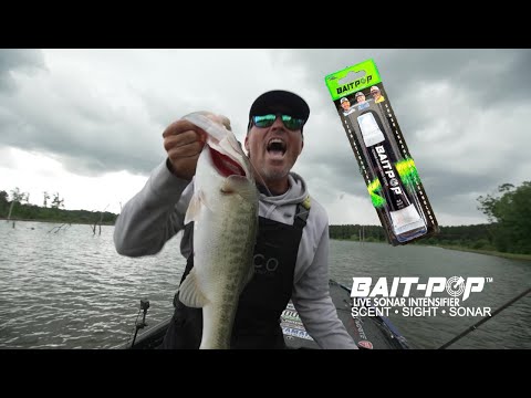 BaitPop Elite Garlic Ghost